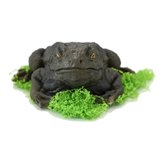 AMX Toys Frog Squishy Mark Ⅰ