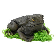 AMX Toys Frog Squishy Mark Ⅰ