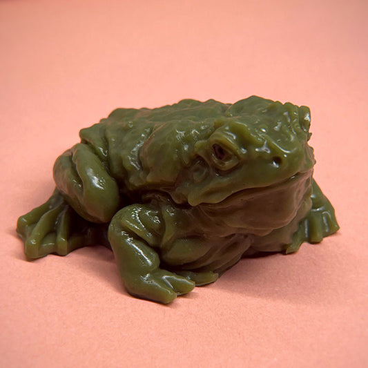 Soft fluffy frog Squishy